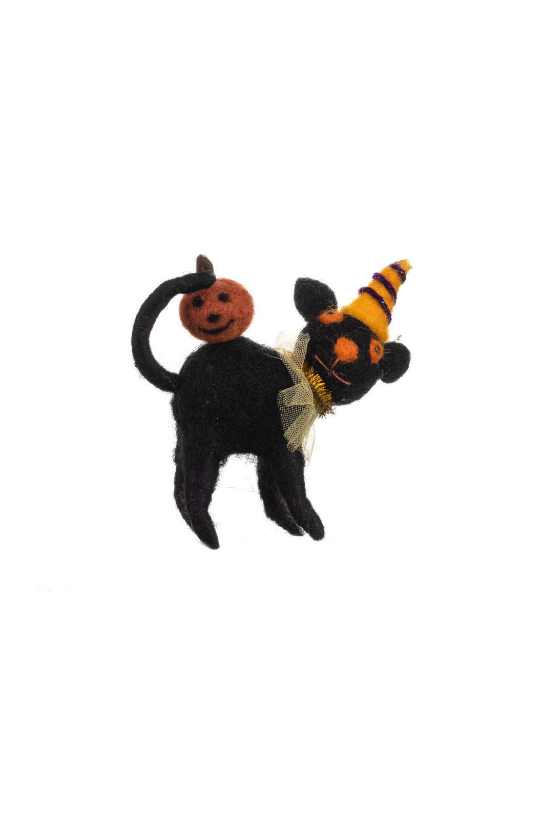 Black Cat with Pumpkin