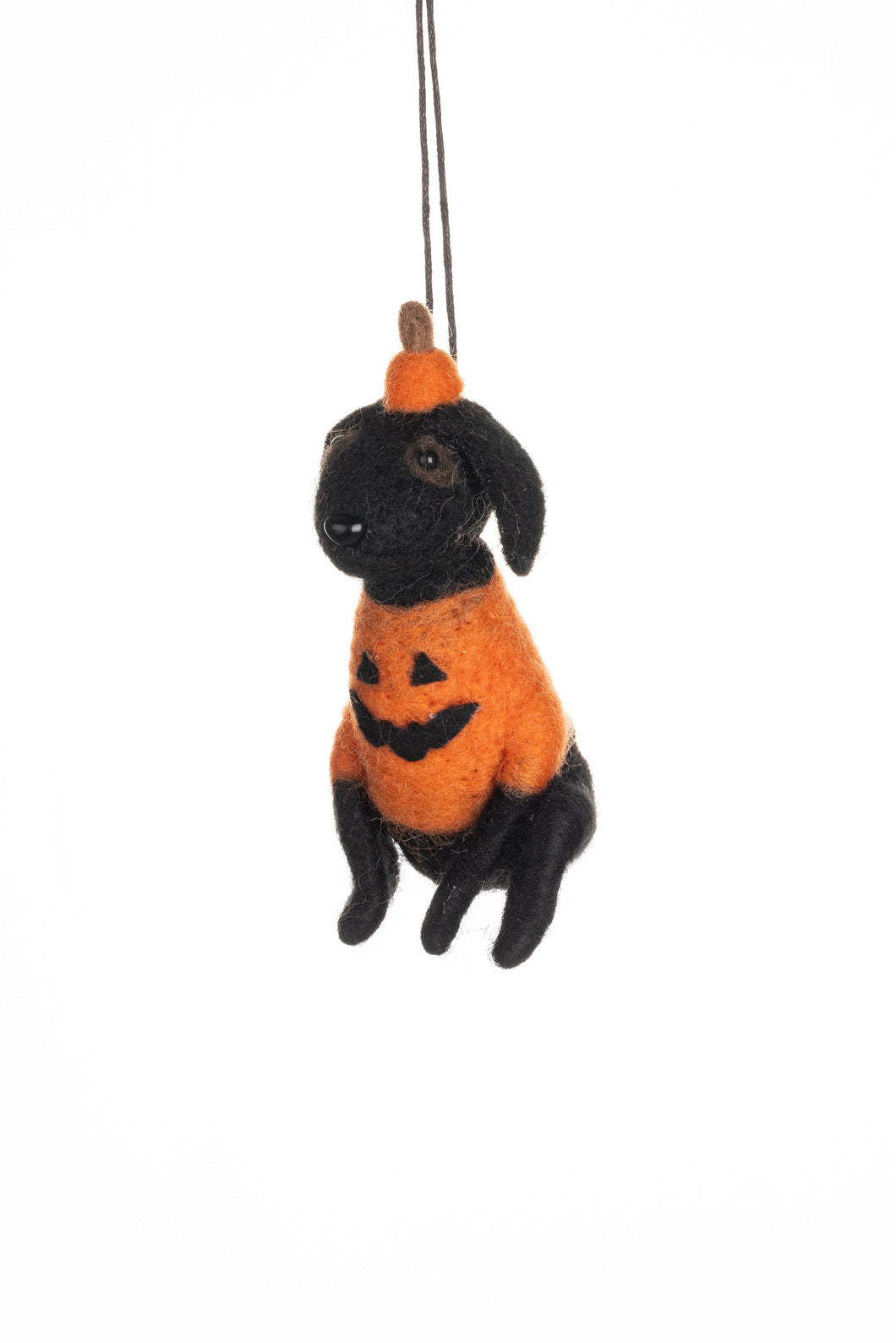 Dog In Pumpkin Outfit